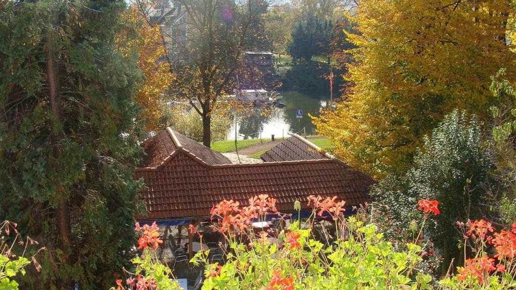 Hotel Weisses Ross Lahnstein Rum bild